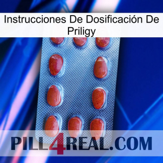 Instrucciones De Dosificación De Priligy 06